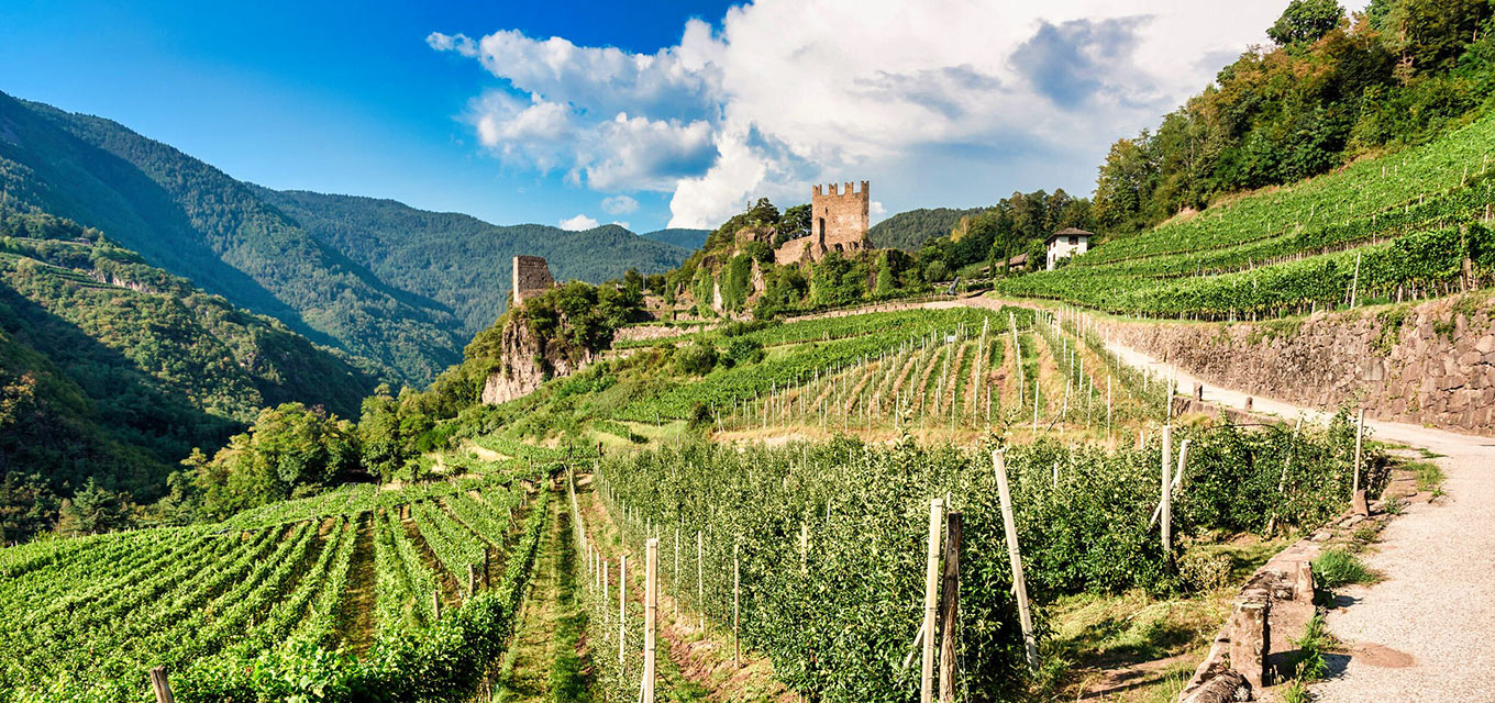 Täler im Trentino - Val di Cembra
